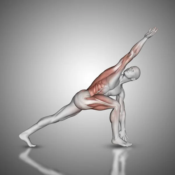 Figura maschile 3D in posa angolo laterale ruotato con muscoli utilizzati hig — Foto Stock