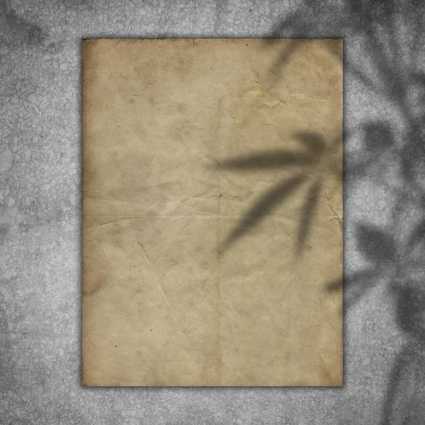 Grunge paper on a concrete texture with a plant shadow overlay — Stock Photo, Image