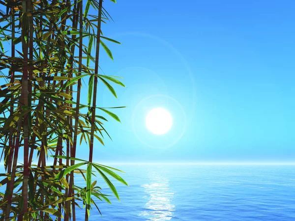 3D-Bambus vor einer Ozeanlandschaft — Stockfoto