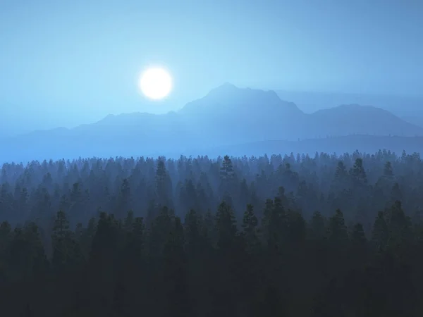 3D туманный пейзаж деревьев на закате — стоковое фото