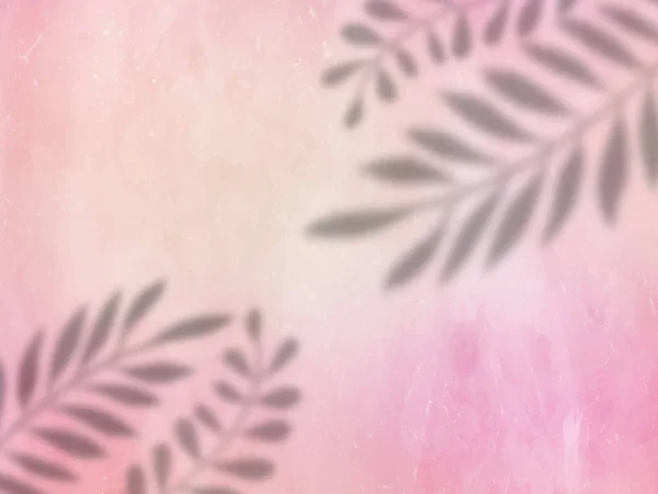 Ombres à feuilles sur une texture grunge rose — Photo