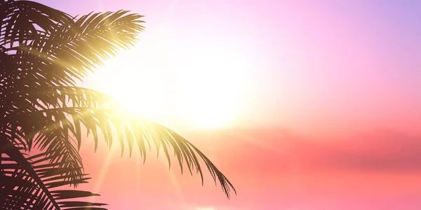 Καλοκαιρινό Σχέδιο Πανό Φύλλα Φοίνικα Σιλουέτα Ήλιο Λάμπει Μέσα — Διανυσματικό Αρχείο