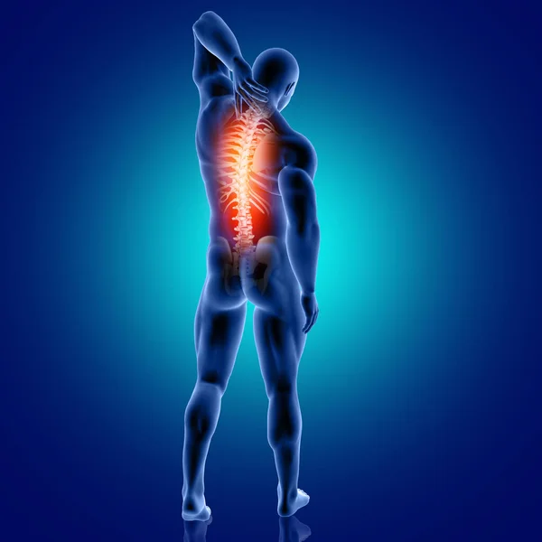 Render Male Medical Figure Spine Highlighted — Stock Photo, Image