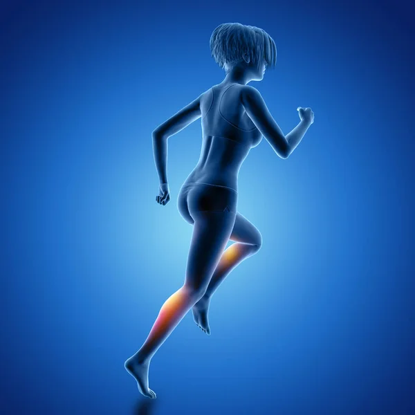 Rendering Una Figura Femminile Posa Running Con Muscoli Utilizzati Evidenziati — Foto Stock