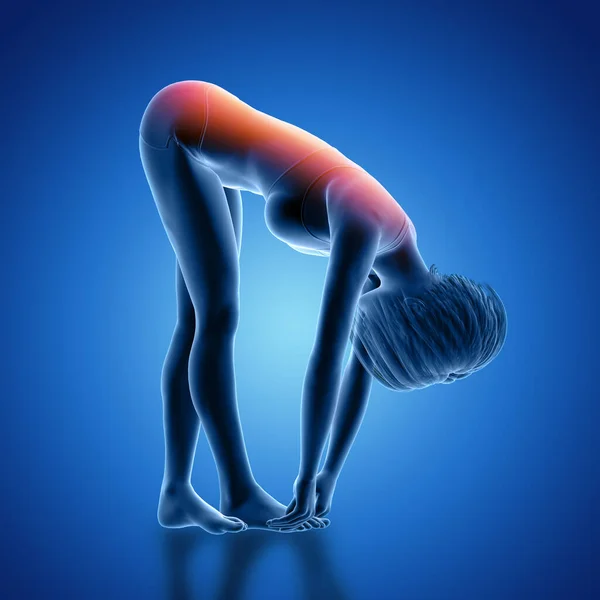 Render Female Figure Bent Position Back Highlighted — Stock Photo, Image
