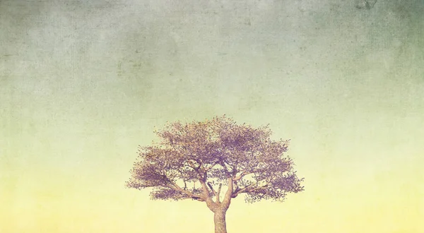 Rendering Eines Grunge Banners Mit Baum Pastellfarbenen Himmel — Stockfoto