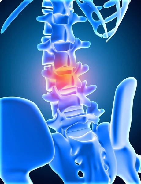 İskeletin alt omurgası altı vurgulanmış tıbbi arka planının 3 boyutlu canlandırması