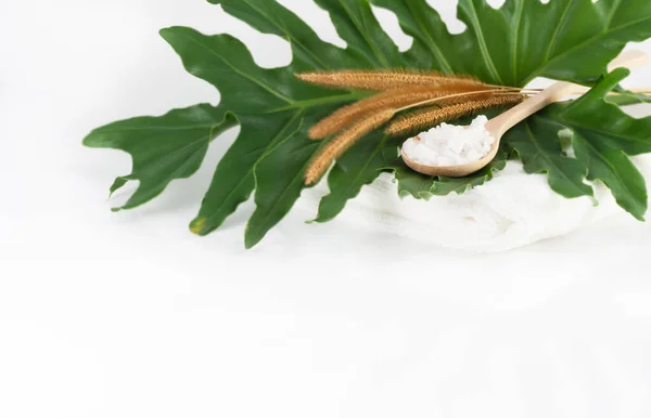 Скребковая Соль Деревянной Ложке Чистых Белых Полотенцах Зеленых Листьях Сушеной — стоковое фото