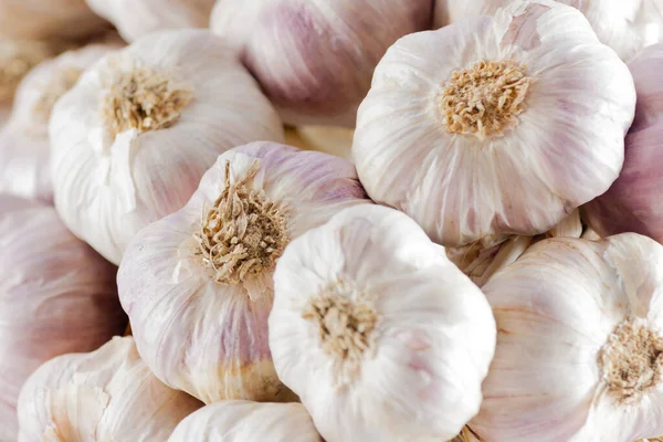 White Garlic Texture Fresh Garlic Closeup Spicy Cooking Ingredient Picture — Stock Photo, Image