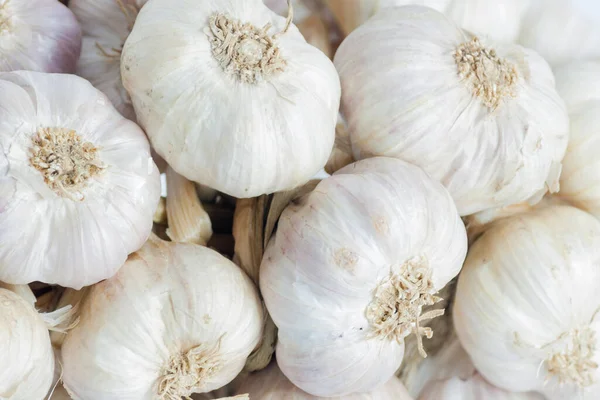 White Garlic Texture Fresh Garlic Closeup Spicy Cooking Ingredient Picture — Stock Photo, Image