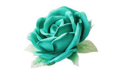 Olağandışı renk el yapımı, beyaz adam üzerinde izole yapay gül