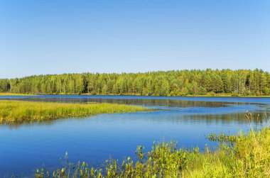 Güzel yaz manzarası