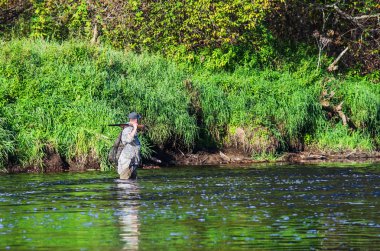 Sonbahar ördek avı