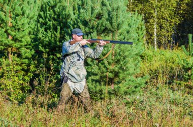 Yaz ormanında avcı