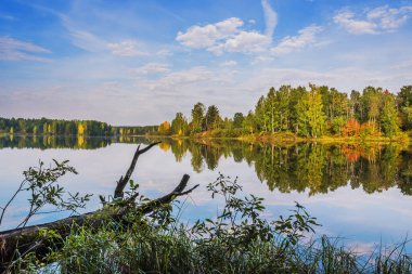 Güzel bir sonbahar manzarası, sudaki ağaçların yansıması ve açık bir günde ön planda devrilmiş bir ağacın kökleri. Rusya, Urallar