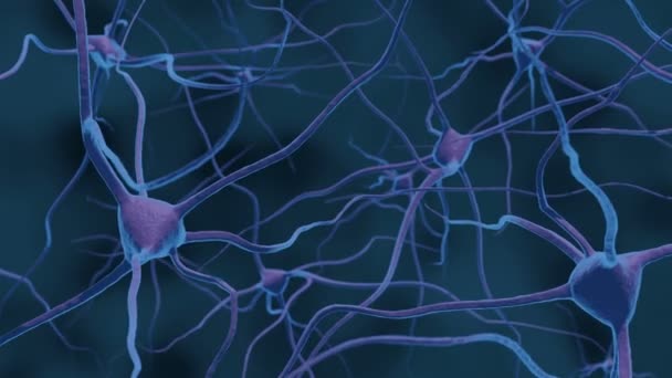 Animación Nivel Microscópico Las Neuronas Cerebrales Del Sistema Nervioso Central — Vídeos de Stock