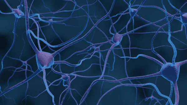 中枢神经系统中大脑神经细胞微观层面的三维图解 图库图片