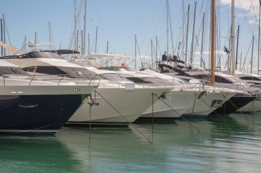 Tekne Marina Palma Mayorka, İspanya