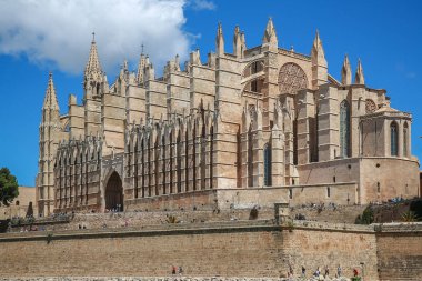 Palma Mayorka İspanya Katedrali