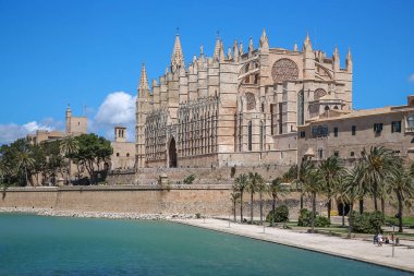 Palma Mayorka İspanya Katedrali