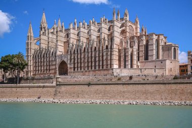 Palma Mayorka İspanya Katedrali