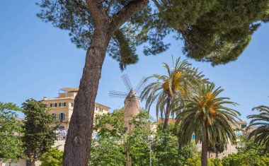 Palma Mayorka İspanya eski şehir manzarası