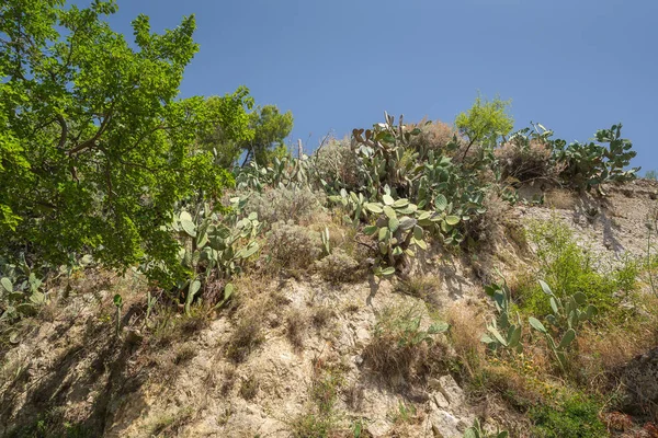 Una Vista Savoca Sicilia Italia — Foto Stock