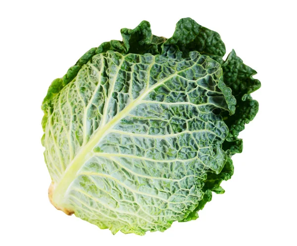 Green Fresh Cabbage Isolated White Background — Stock Photo, Image