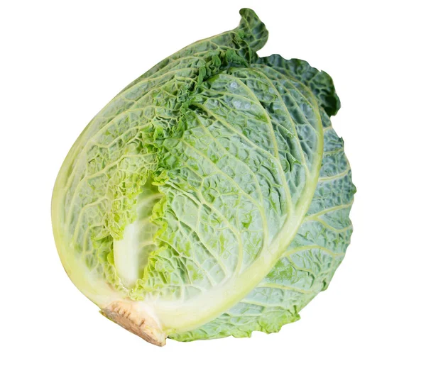 白色背景下的绿色新鲜卷心菜 — 图库照片