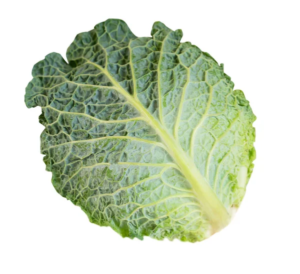 Green Fresh Cabbage Isolated White Background Royalty Free Stock Images