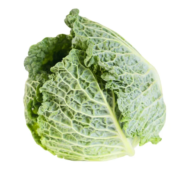Green Fresh Cabbage Isolated White Background Stock Image