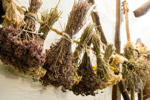 Tıbbi ve güzel kokulu otlar çeşitli kilerde kurutulmuş