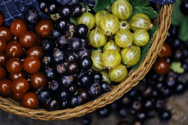 Taze sulu olgun meyvelerin üst görünümünü kapatın. Yeşil bektaşi üzümü, kiraz, Amelanchier ovalis renkli çeşitli karışımı ( gölgeli)