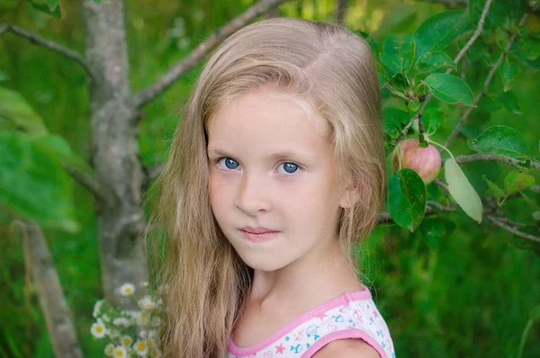 Portrait of a Cute 8 Year Old Girl Stock Image - Image of portrait, cute:  49996809