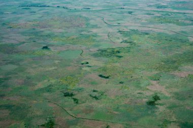 Danube Delta bataklık, su, Reed, bitki örtüsü havadan görünümü