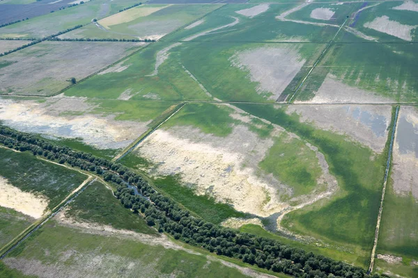 在多瑙河三角洲 罗马尼亚的农业土地受到侵略性农业的破坏 免版税图库图片