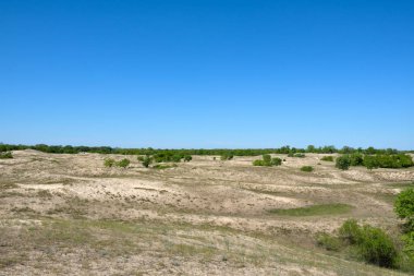 Letea orman kum tepeleri manzara, Tuna Deltası
