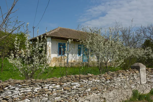 Casa Velha Abandonada Dobruja Romênia Arquitetura Tradicional — Fotografia de Stock
