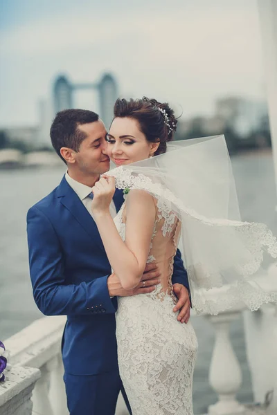 若いカップルの官能的な肖像画 屋外の結婚式の写真 — ストック写真