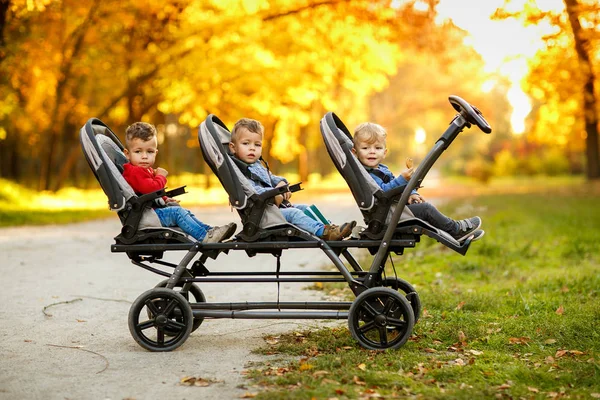 Happy Triplets Sit Baby Stroller Eat Cookies Autumn Par — Stock Photo, Image
