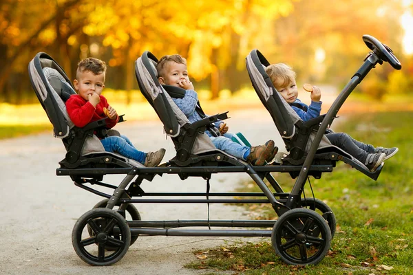 Happy Triplets Sit Baby Stroller Eat Cookies Autumn Par — Stock Photo, Image