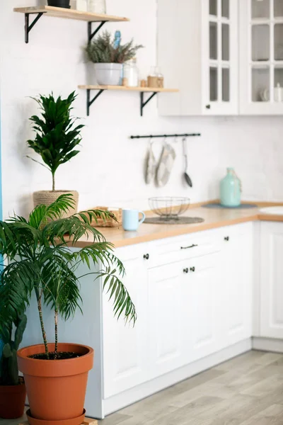 Luxurious White Kitchen Living Room Big House — Stock Photo, Image