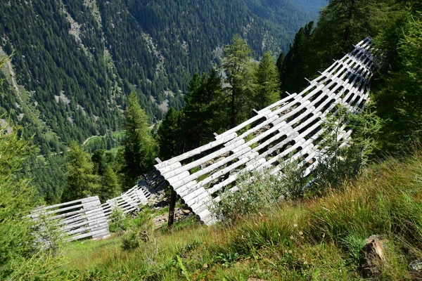 Protective Fences Avalanches Avalanche Protection Fences Steep Slopes Forests Mountains — Stock Photo, Image