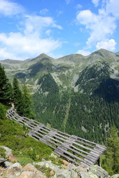 Beschermende Hekken Voor Lawines Lawinewering Hekken Steile Hellingen Bossen Bergen — Stockfoto