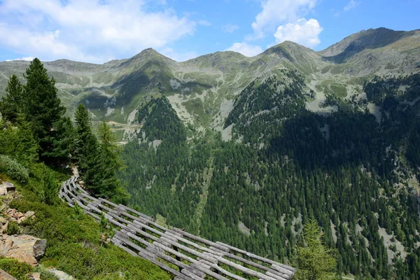 Lawinenschutzzaun Aus Holz Südtirol Sommer Inmitten Von Bäumen Und Sträuchern — Stockfoto