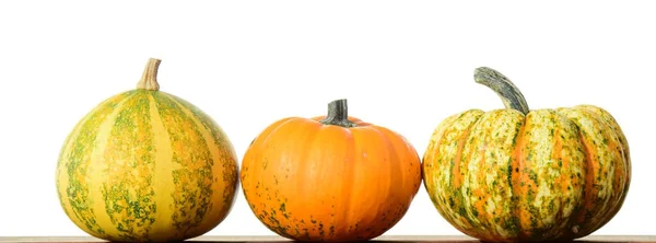 Three Ornamental Pumpkins Isolated Bright Background — Stock Photo, Image