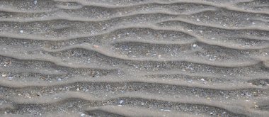 Deniz tabanında kum dalgaları