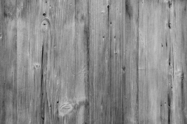Beau Grain Bois Fond Bois Gris Noir Blanc — Photo