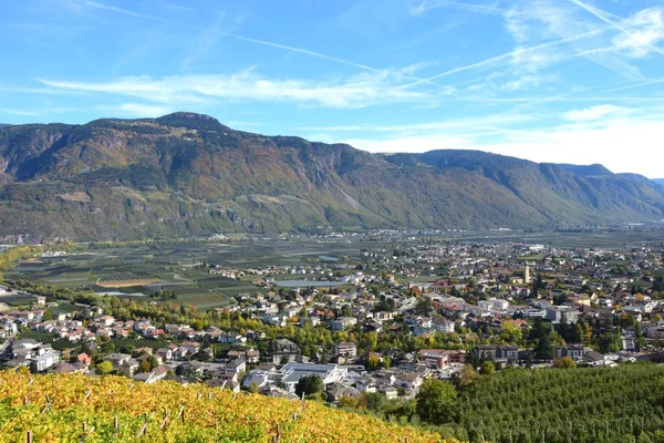 Pohled Lanu Merana Údolí Adige Jižním Tyrolsku Itálie Podzimní Panoramatický — Stock fotografie