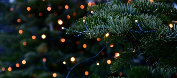 Fény Húr Fán Merano Karácsonyi Piacon Decemberben — Stock Fotó